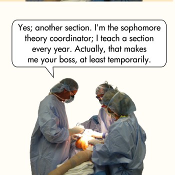 surgeon-theorists