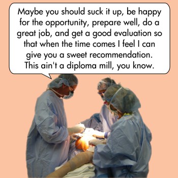 surgeon-theorists