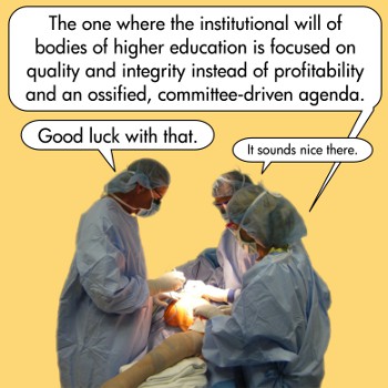 surgeon-theorists