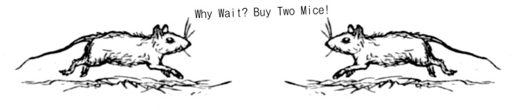 cmib ad