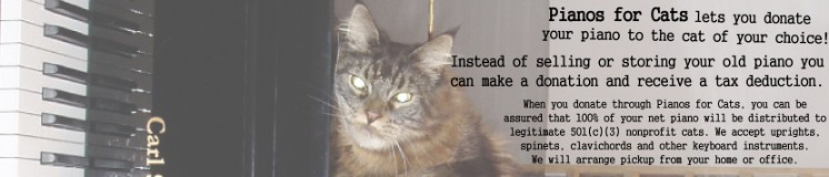 cmib ad