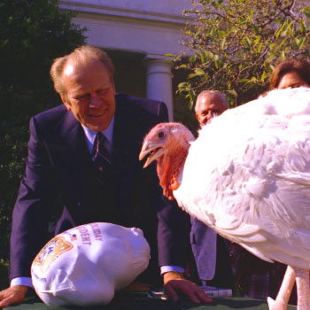 thanksgiving special 2017