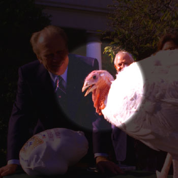 thanksgiving special 2017