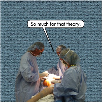 the surgeon-theorists