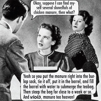 all but dissertation