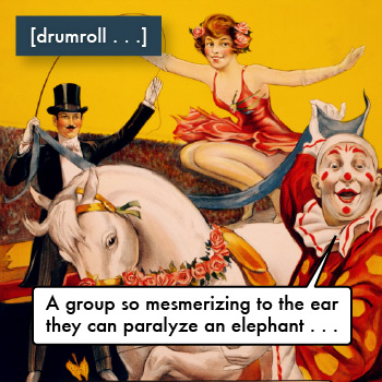 cmib's sarcastic circus