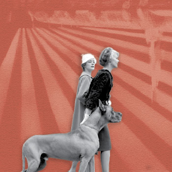 classical music is boring