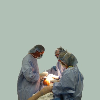 surgeon-theorists vivisection