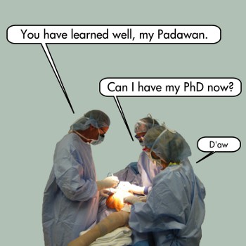 the surgeon-theorists