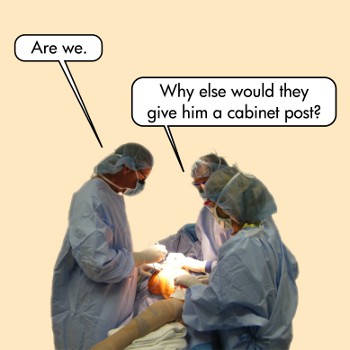 the surgeon-theorists